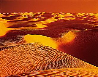 《战锤40K：审判者-殉道者》年内推出次世代主机版